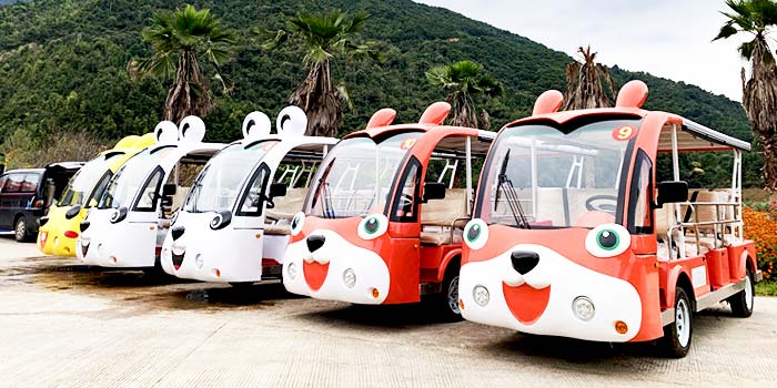 可定制觀光車